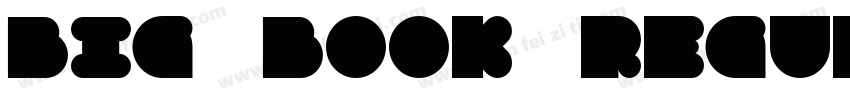 Big Book Regular字体转换